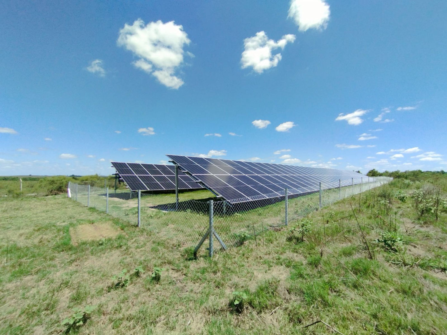 Foto realizada para teleton de paneles